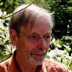 Peter Ammann